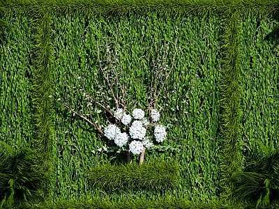 现代绿植墙