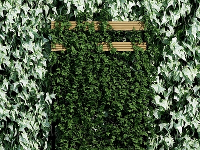 现代绿植墙