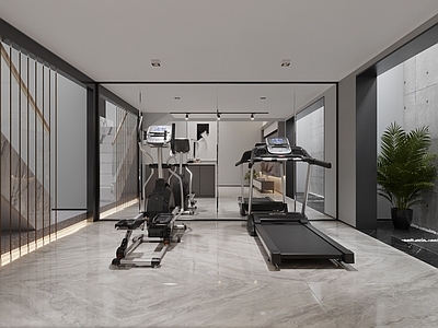 现代家居健身房 地下室 沙发 跑步机 单车 茶桌 茶柜