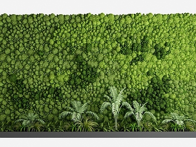 现代绿植墙 植物墙 盆景