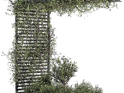 现代绿植墙