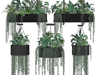 现代盆栽 盆景 植物堆 绿植堆 灌木 吊篮 绿萝