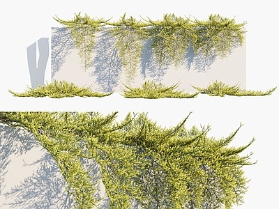 现代绿植墙 花草 植物