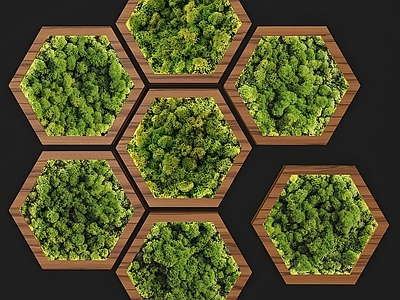 现代绿植墙