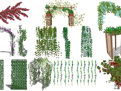 现代绿植墙 藤蔓 爬藤 绿植墙