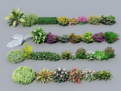 现代花草组合