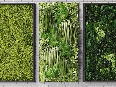 现代绿植墙 植物墙 苔藓