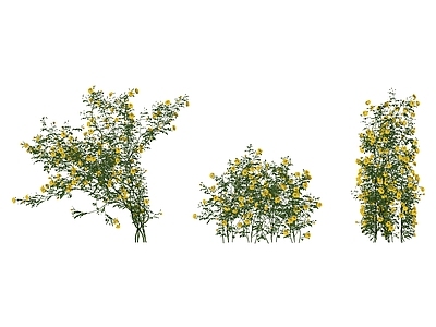 现代绿植墙藤蔓月季