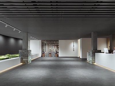 现代博物馆 展柜 展品