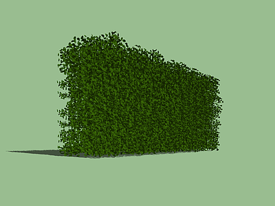 现代绿植墙 藤曼