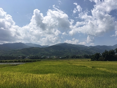 外景天空麦田 天空