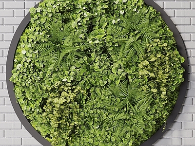 现代绿植墙 植物墙