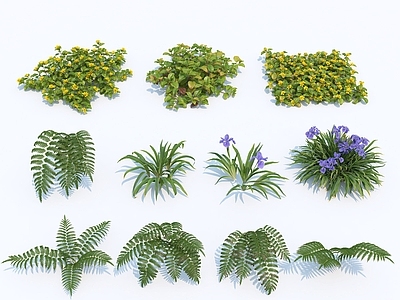 现代花草