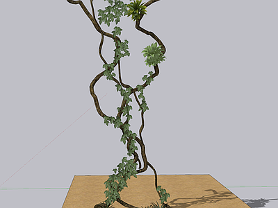 现代枯藤 枯枝 绿植墙