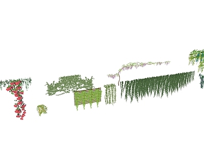 现代藤本植物