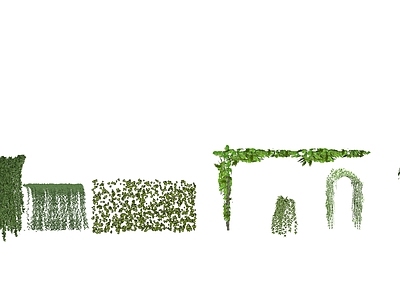 现代藤本植物