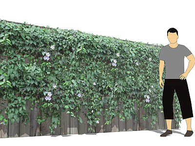 现代绿植墙 爬藤 藤曼 绿植墙