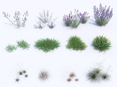 花草