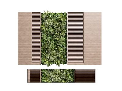 现代植物墙