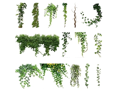 2D现代绿植墙 爬藤 藤蔓  绿植墙