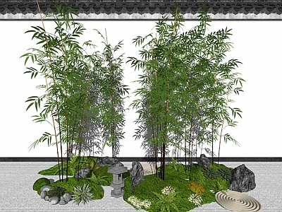 新中式竹子 花草