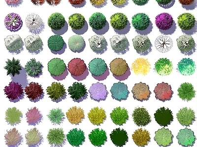 树木植物平面图