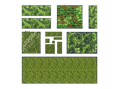 现代绿植墙 植物墙