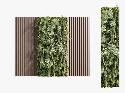 现代植物墙