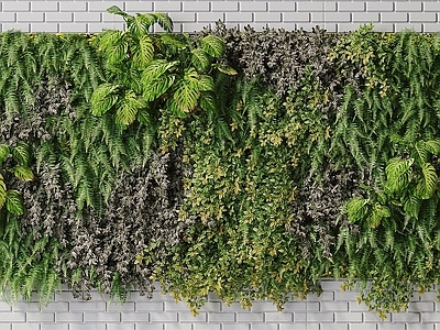 现代绿植墙