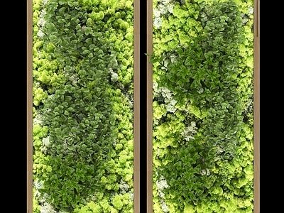 现代绿植墙 苔藓墙 绿化墙 装饰墙 美陈 墙饰 挂画
