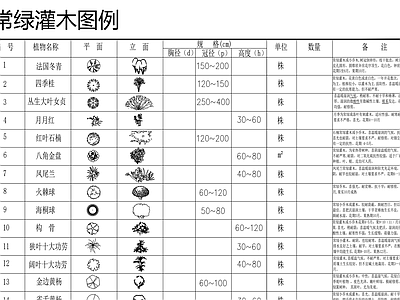 园林植物苗木图例