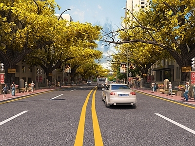 现代道路设施 道路 机动车 古树