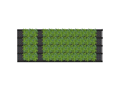 现代绿植墙