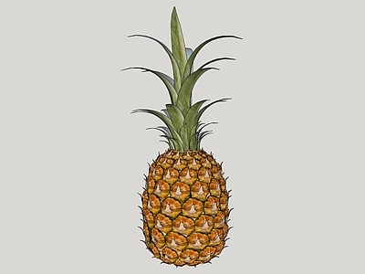 现代水果蔬菜 菠萝 凤梨