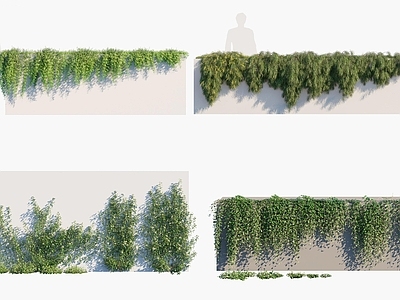 现代绿植墙 縢蔓 植物 花草 花卉 灌木