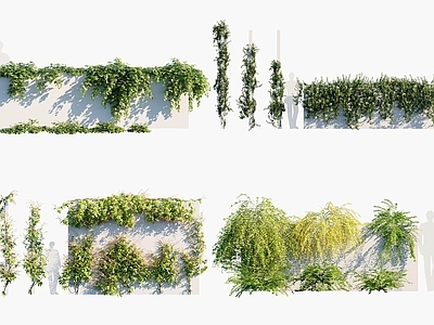 现代绿植墙 縢蔓 植物 花草 花卉 灌木