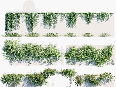 现代绿植墙 縢蔓 植物 花草 花卉 灌木 花架