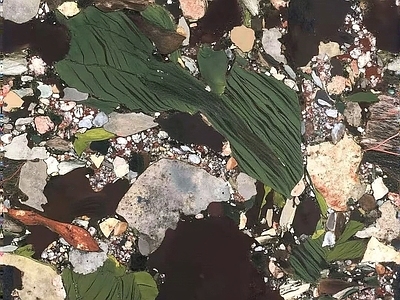 简一·四季绿洲大理石 绿色大理石