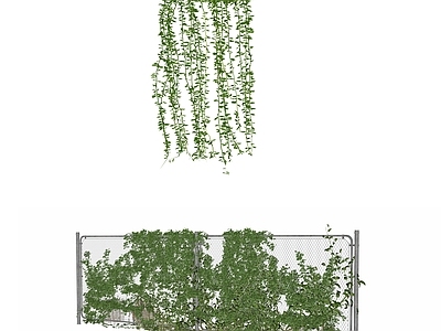 现代绿植墙