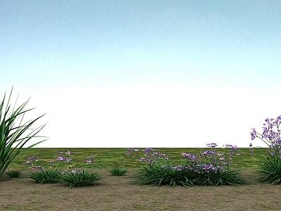 现代花草花卉