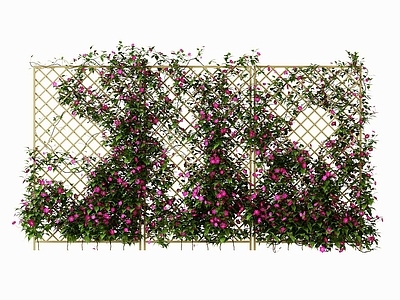 现代绿植墙