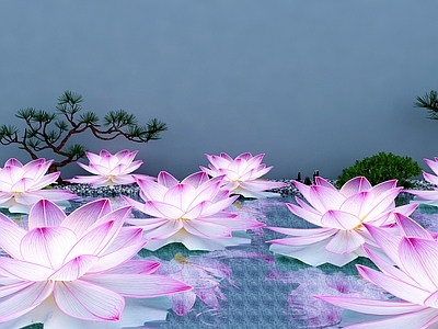 现代荷花灯 装饰灯
