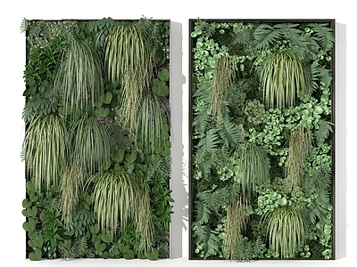 现代绿植墙