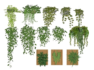 现代植物盆栽 绿植墙