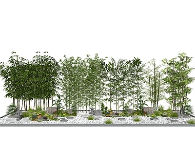 新中式竹子 翠竹 花草灌木