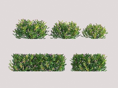现代绿植墙