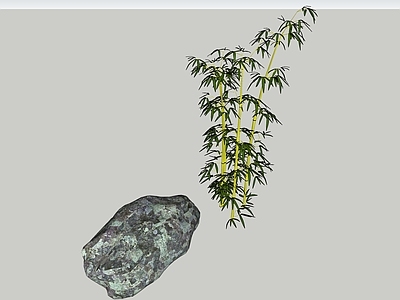 现代竹子 石头