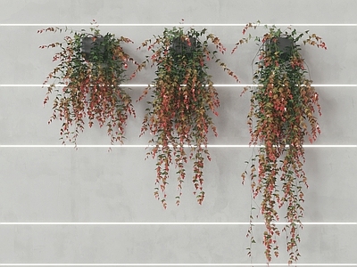 现代绿植墙
