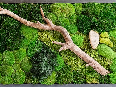 绿植墙贴图