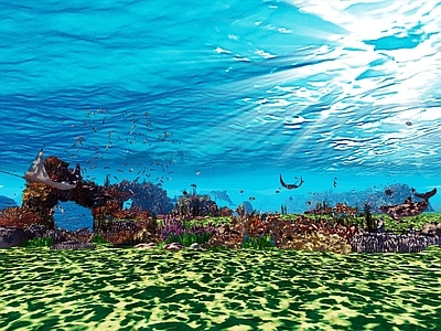 现代海底世界 海洋生物